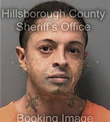 Shain Rippey, - Hillsborough County, FL 