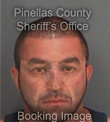 Zachary Decarlo, - Pinellas County, FL 