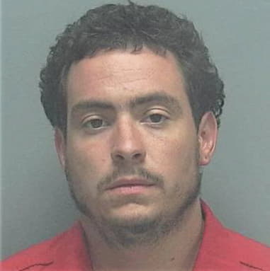 Diego Fernandez, - Lee County, FL 