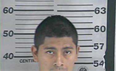 Raul Guerra, - Dyer County, TN 