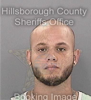 Jose Lopeznarvaez, - Hillsborough County, FL 