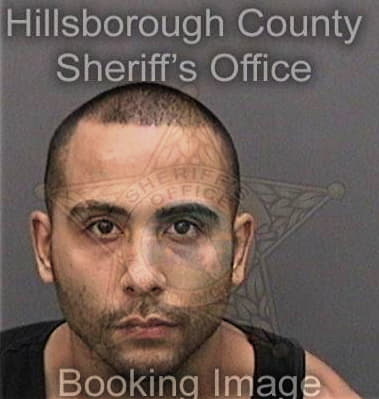 Mike Montesnieves, - Hillsborough County, FL 