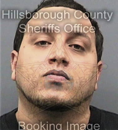 Justin Morales, - Hillsborough County, FL 