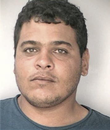 Jose Ortega, - Hillsborough County, FL 