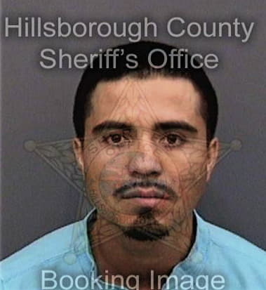 David Pongracz, - Hillsborough County, FL 