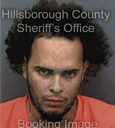 Davis Riveraayala - Hillsborough County, FL 