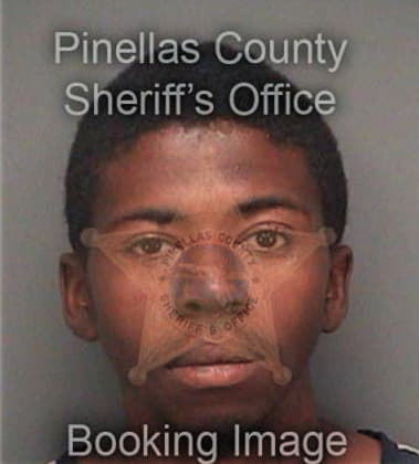 Tasian Small - Pinellas County, FL 