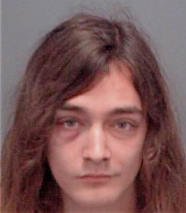 Levvi Soffredine - Pinellas County, FL 