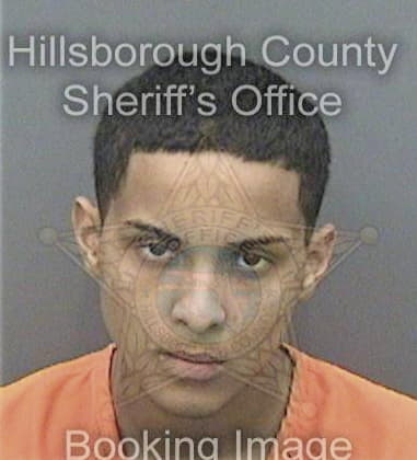 Bryant Bishop - Hillsborough County, FL 