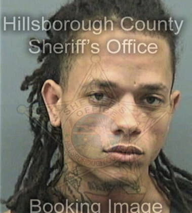 Jairo Bravo - Hillsborough County, FL 