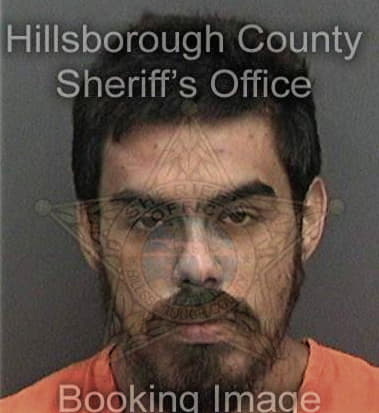 Javier Castro-Olivio, - Hillsborough County, FL 