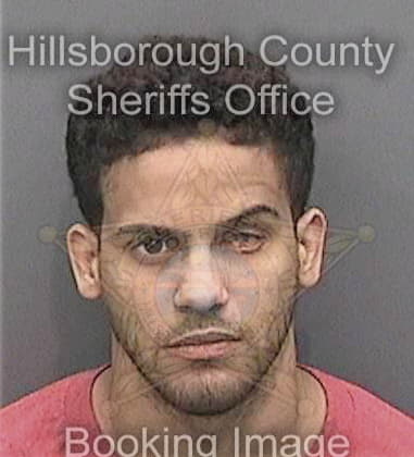 Michael Krysa, - Hillsborough County, FL 