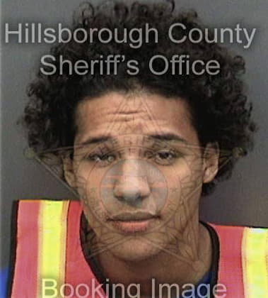 Oscar McCauley - Hillsborough County, FL 