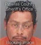 Hugo Pillasaguaquinonez, - Pinellas County, FL 