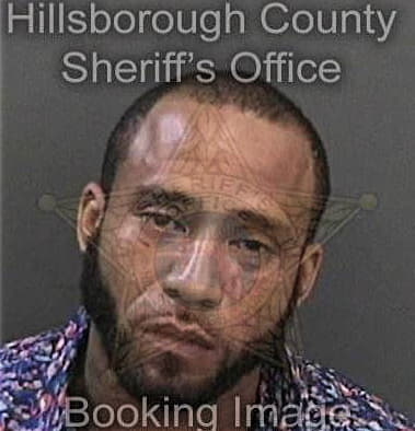 Fredrick Bogan - Hillsborough County, FL 