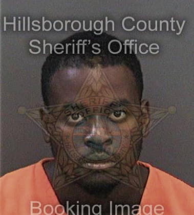 Michael Little, - Hillsborough County, FL 