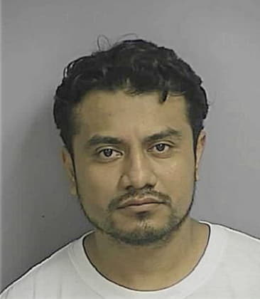 Rodrigo Martinez-Garcia, - Osceola County, FL 