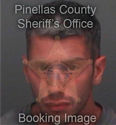 Michael Monkman, - Pinellas County, FL 