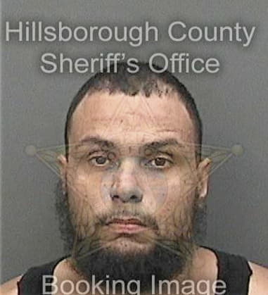 Jibril Needham, - Hillsborough County, FL 