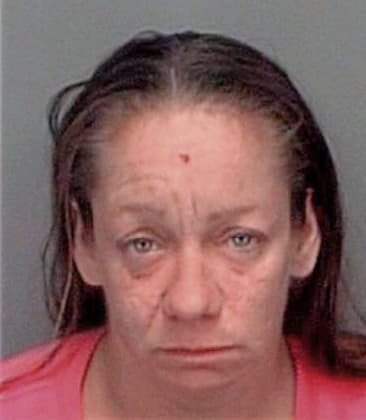 Danita Aldrich, - Pinellas County, FL 