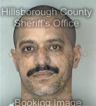Gregory Blevins - Hillsborough County, FL 