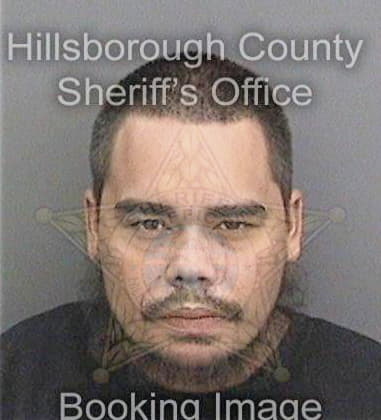 Thomas Mendezurbina - Hillsborough County, FL 