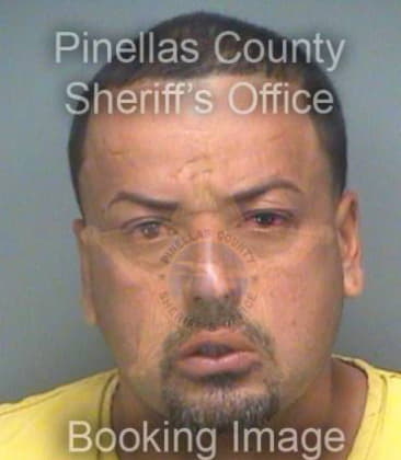 Jorge Nava, - Pinellas County, FL 