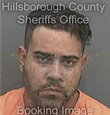 Orlando Nievesnunez, - Hillsborough County, FL 