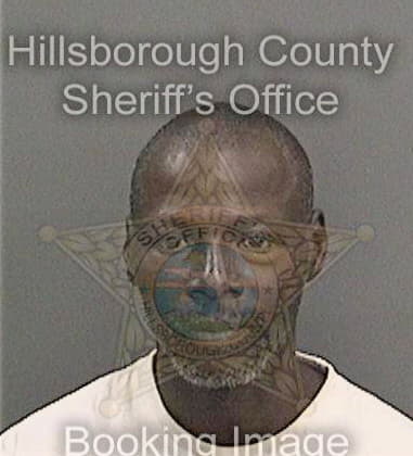 Adewale Salami, - Hillsborough County, FL 