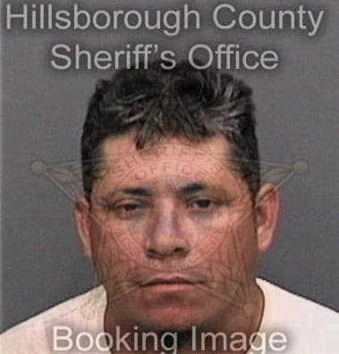 Michael Valdez, - Hillsborough County, FL 