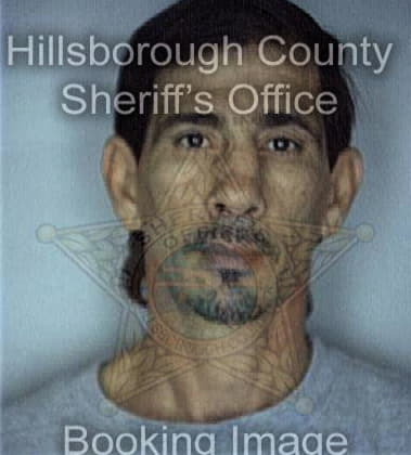 Osualdo Dehoyos, - Hillsborough County, FL 