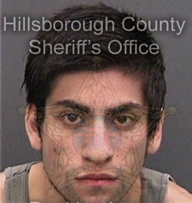 Luke Holmberg, - Hillsborough County, FL 