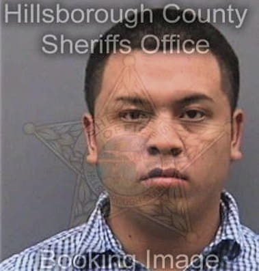 Nizam Khan, - Hillsborough County, FL 