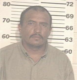 Alfredo Salinas, - Hidalgo County, TX 