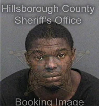Kolton Wilkins - Hillsborough County, FL 