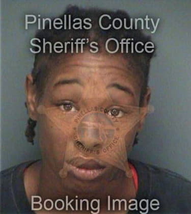 Tiffany Wright, - Pinellas County, FL 