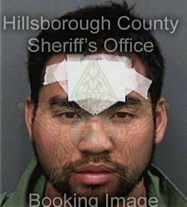 David Fernandez, - Hillsborough County, FL 