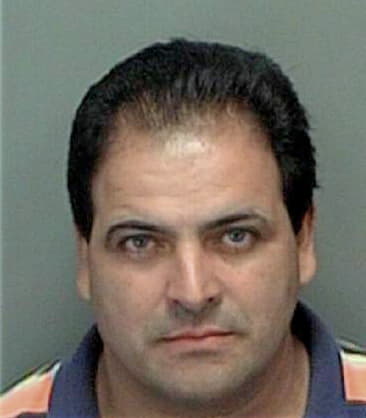 Marco Hernandezcastillo, - Pinellas County, FL 