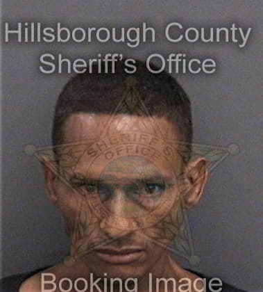 Andre Johnson, - Hillsborough County, FL 