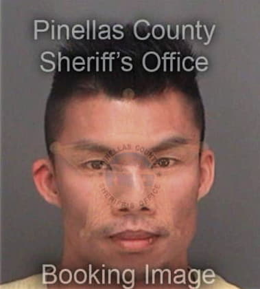 Phuc Nguyen, - Pinellas County, FL 