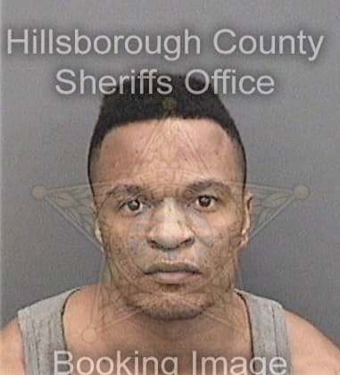 Darnell Ammons, - Hillsborough County, FL 