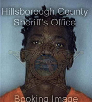Arthur Billingsley - Hillsborough County, FL 