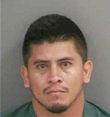 Carlos Lopez-Terry, - Collier County, FL 