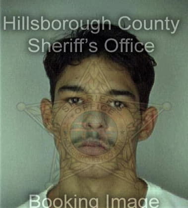 Jeffrey McGill - Hillsborough County, FL 