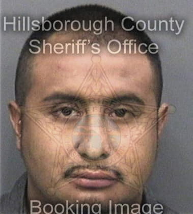 Mario Nina, - Hillsborough County, FL 