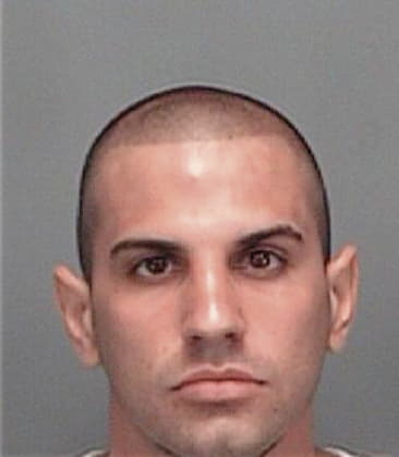 Michael Demchar, - Pinellas County, FL 