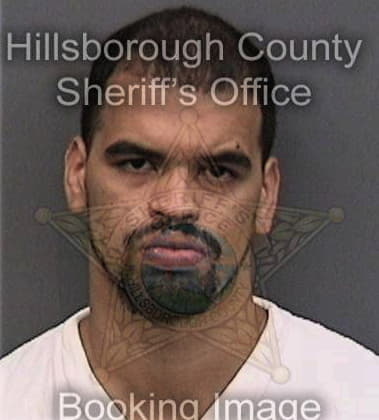 Delfino Dominguezramos, - Hillsborough County, FL 