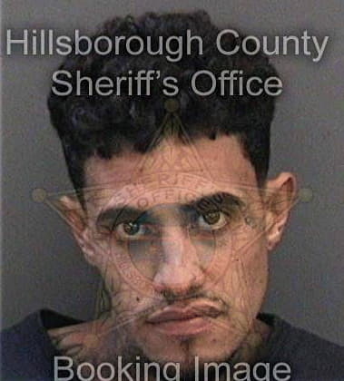 Zachary Holloway, - Hillsborough County, FL 