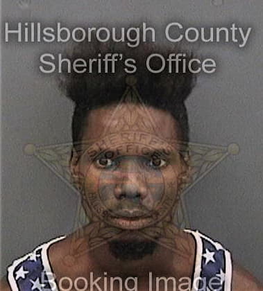 Jarvis Salary, - Hillsborough County, FL 