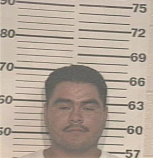 Pedro Torres, - Hidalgo County, TX 